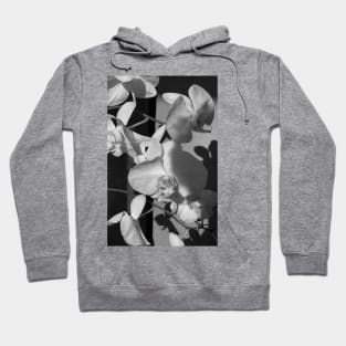 Orchids Hoodie